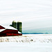 Michigan winter farm