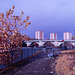 Dumbarton Quay - IRChrome