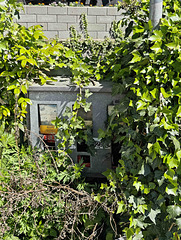 Detmold - Gumball machine