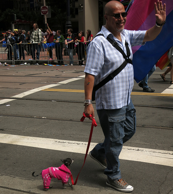 San Francisco Pride Parade 2015 (1551)