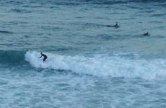 Logans Beach surfies