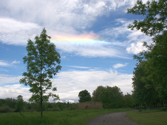 before the rain / avant la pluie