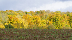 Licht und Schatten II