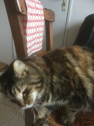 IMG 3439