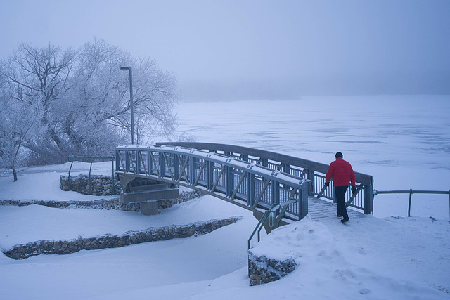 a walker in the fog