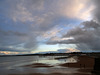 Dog walkers on Paignton Beach in the early evening