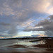 Dog walkers on Paignton Beach in the early evening