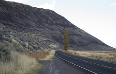 Surprise Valley, CA lava flow (0819)