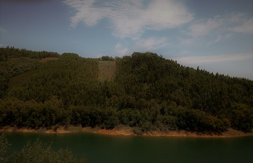 This bank's bit of Zêzere River didn't burn