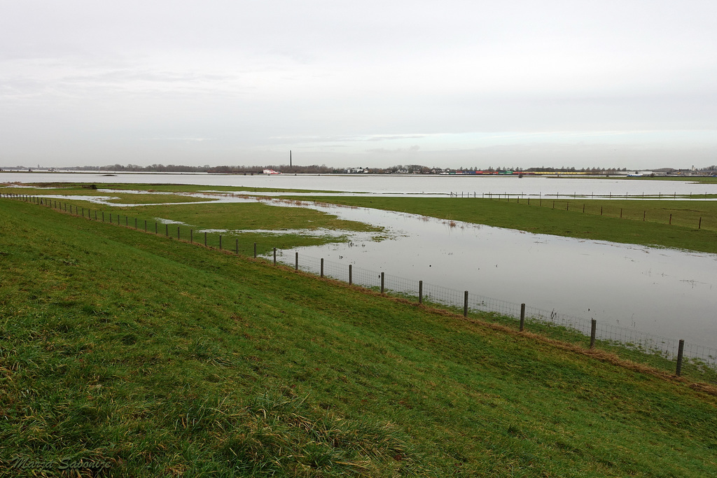 Waterstand 5 januari