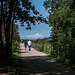 Mersey view walk