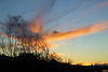 1-IMG 7838