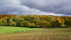 Dramatischer Herbst