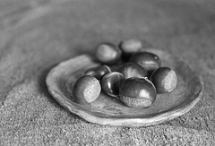 Chestnuts from the garden