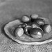 Chestnuts from the garden