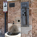 Marmirolo - Mantova
