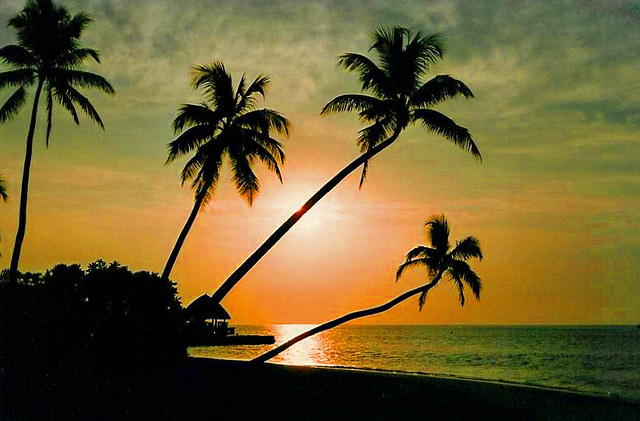 Sonnenaufgang - Malediven 1999 (Fotoscan)