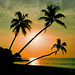 Sonnenaufgang - Malediven 1999 (Fotoscan)