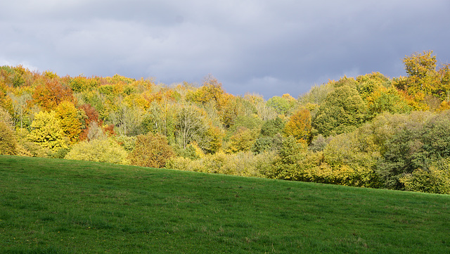 Herbstfarben am Hainholz