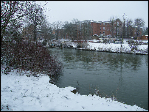 winter at Gibbs Crescent