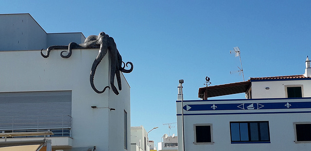 Octopus on top of house.