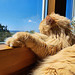 Paula entspannt in der Sonne