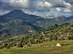 Vista al Gaucín