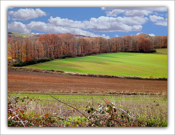 Campos de labor