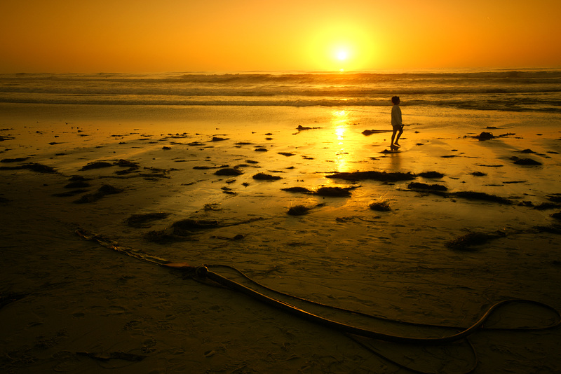 beach walk