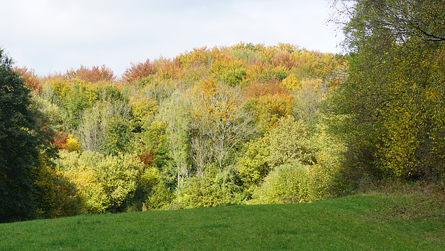 Herbstfarben II