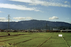 View from Train (50 15)