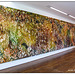 Frieder Burda Museum