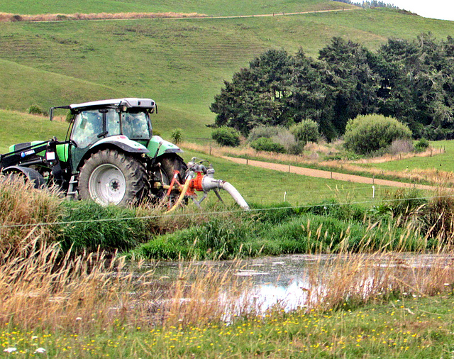 Farm Scene.