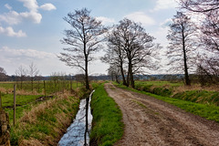 feldweg-00484-co-10-04-16