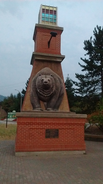 Au pays des ours / Where bears rule