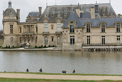 Vie de château pour les oies