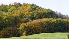 Herbstlicher Krücker