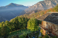 Morgenblick in letzte Nebelschwaden