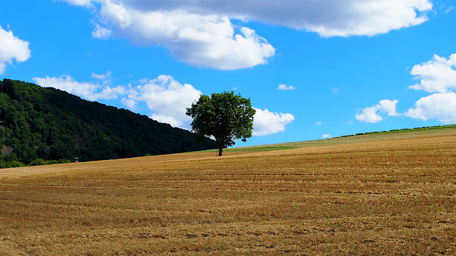 Spätsommer