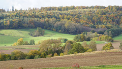 Herbstlicher Krücker II