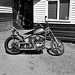 hhbfrjul292022 (1210)