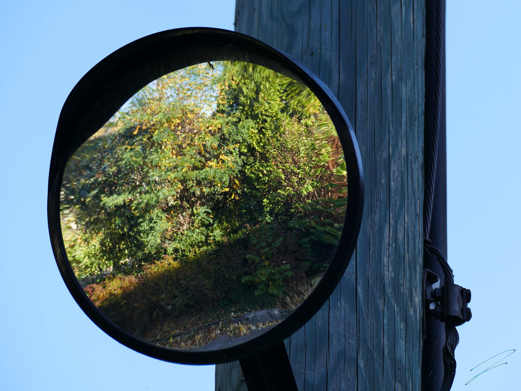 herbst im spiegel