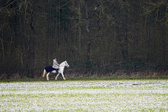 Reiten im Winter - Riding in winter