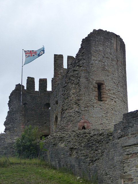 Dudley Castle (6) - 9 September 2016