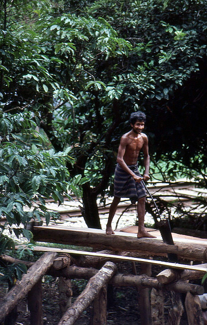 Sägereiarbeiter auf Sri Lanka 1982