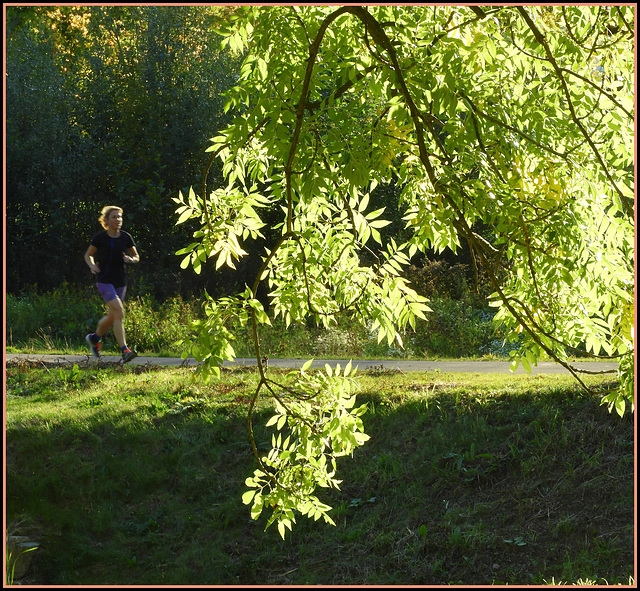 Walk for light