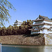 Nagoya Castle and Northwest Turret (50 18)