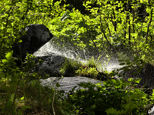 20160611 -18 Rando Meribel Les allues Jour5 (161)