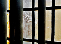 Cracked Window 2
