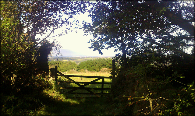 HFF! Carn Marth, Cornwall  - view towards Carharrack